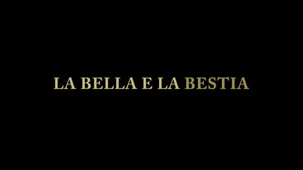 The beauty and the beast